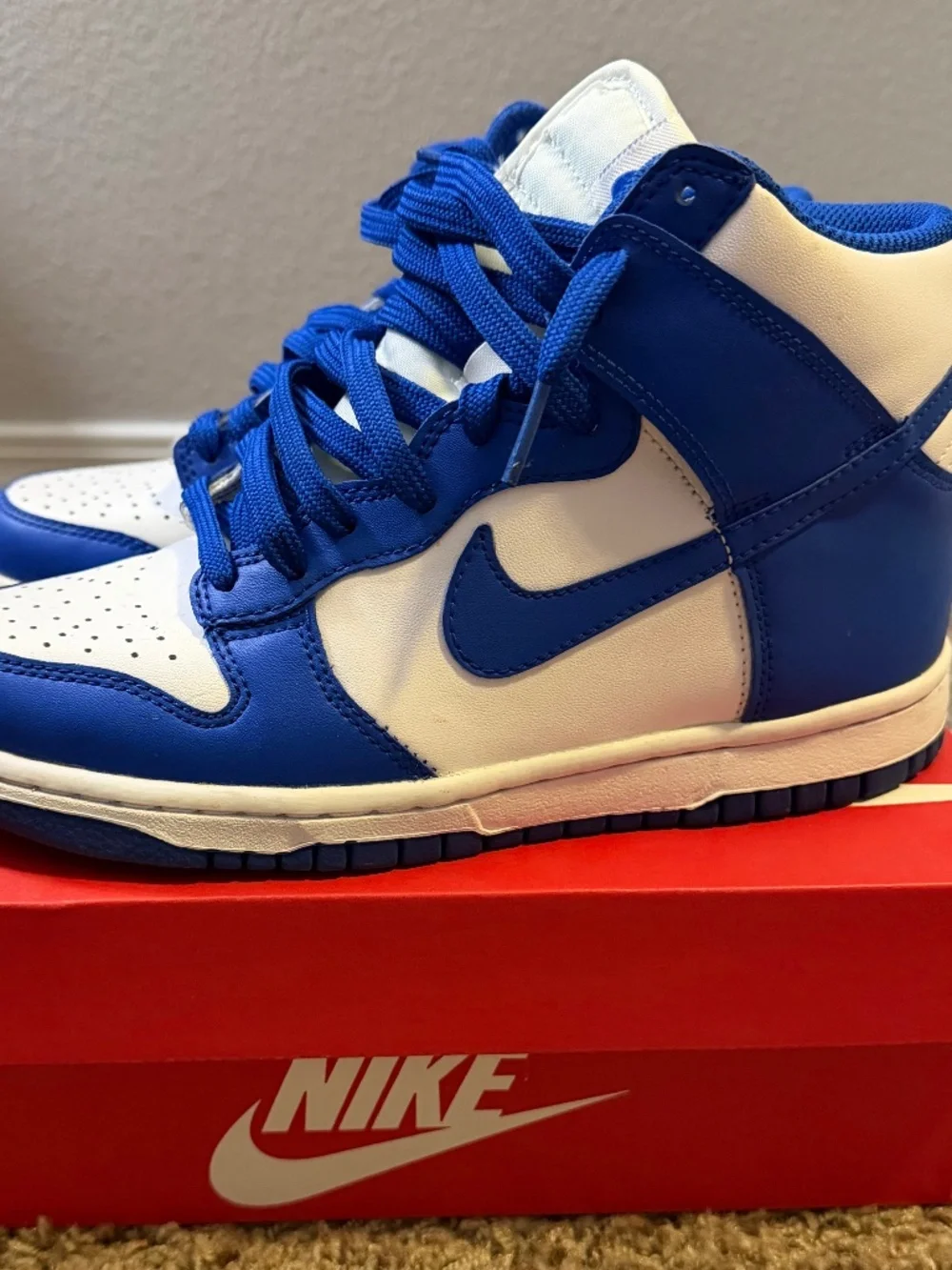 Big kids Nike dunk high